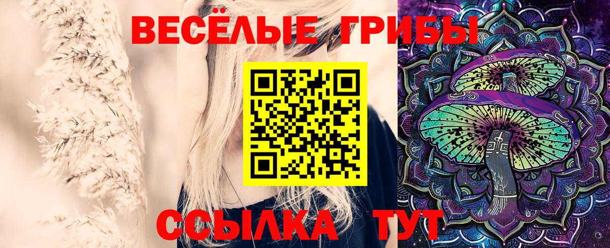 Ачхой-Мартан  Галлюциногенные грибы мицелий  Галлюциногенные грибы Psilocybine cubensis  Вход с VPN 